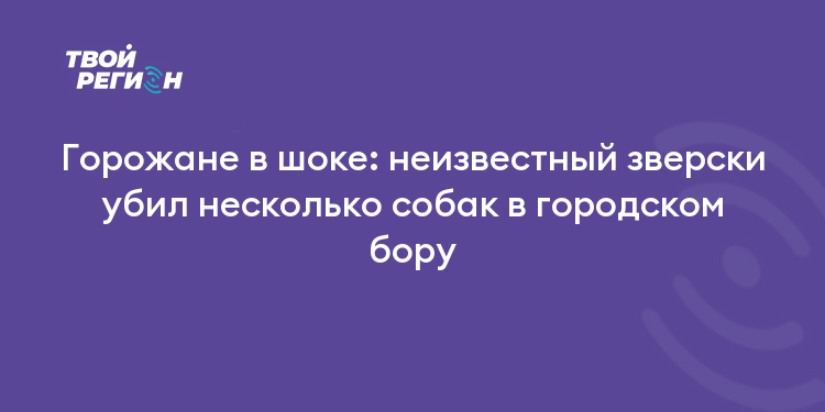 Горожане в шоке: неизвестный зверски убил несколько собак в городском бору