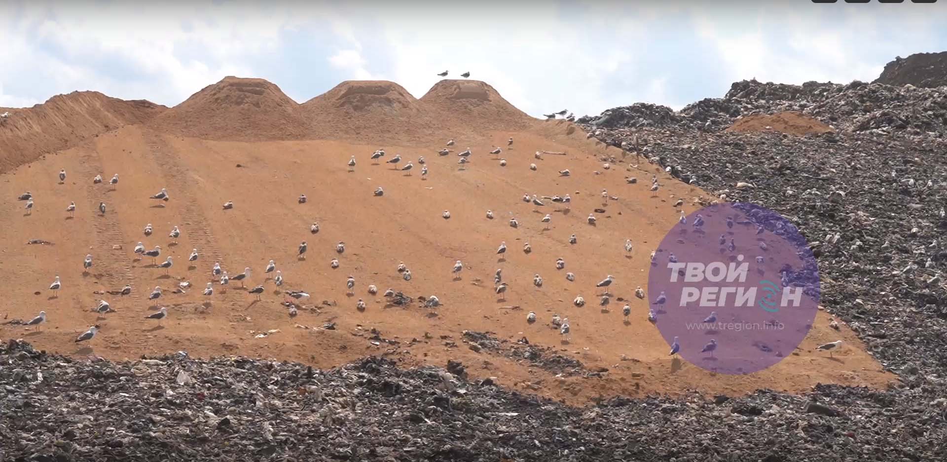 В Златоусте на месте свалки появился пляж 