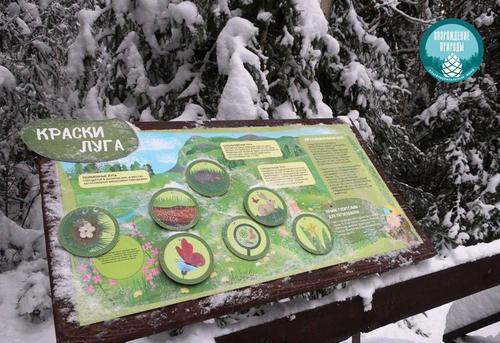 Загадки природы обнаруживаются во время прогулки по национальному парку