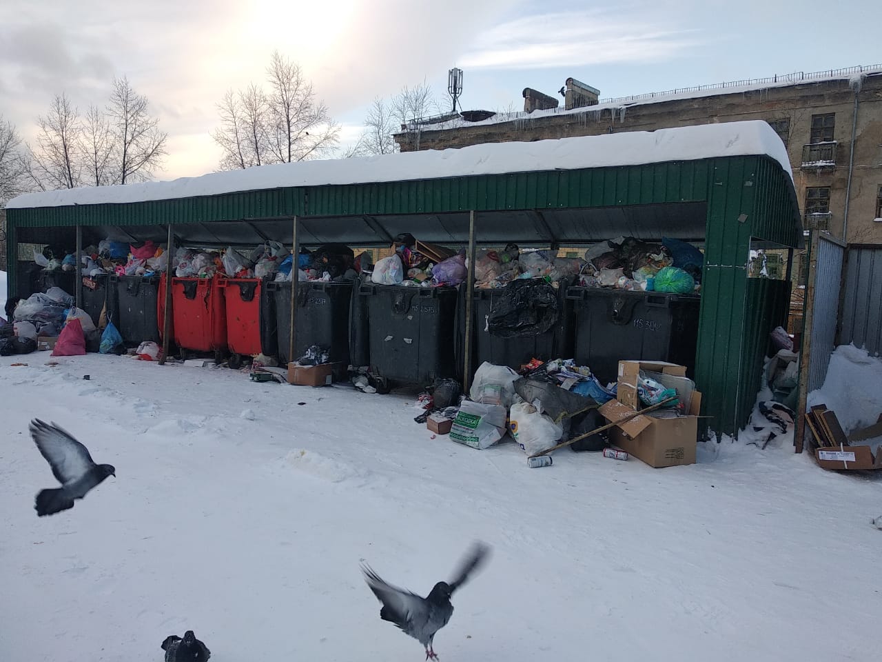 В Златоусте коммунальшики озвучили причину невывоза мусора