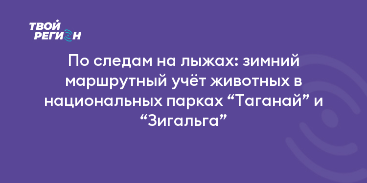 По следам на лыжах: зимний маршрутный учёт животных в национальных парках “Таганай” и “Зигальга”