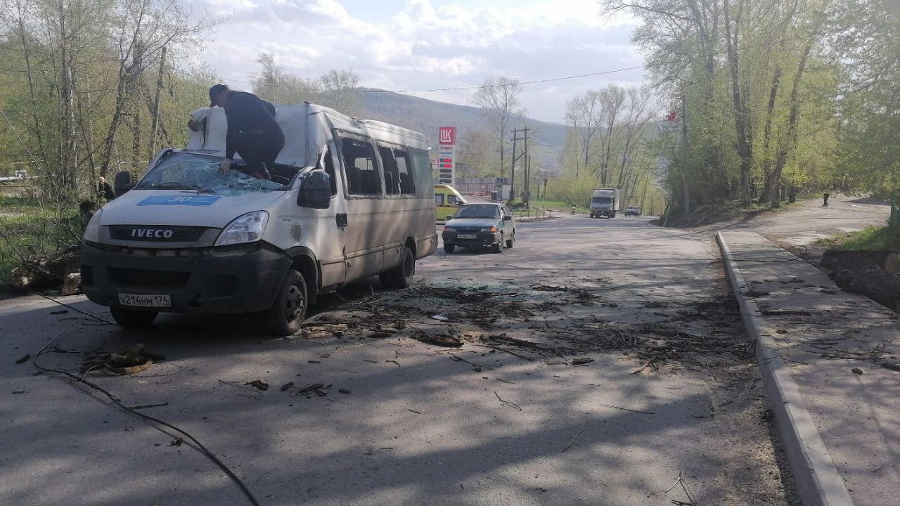 Трагедия в Златоусте: дерево упало на маршрутку с пассажирами, водитель в  критическом состоянии