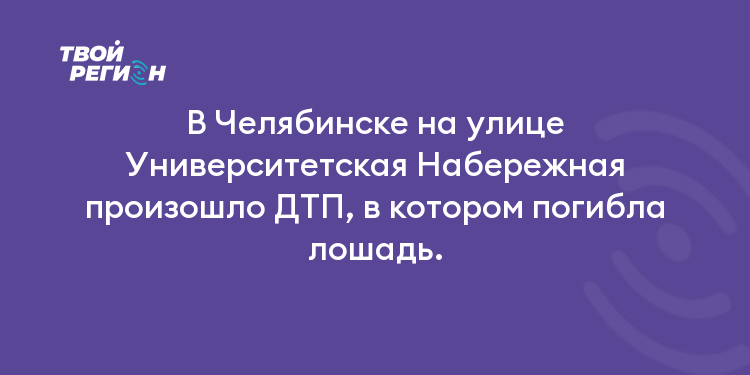 В Челябинске на улице Университетская Набережная произошло ДТП, в котором погибла лошадь.