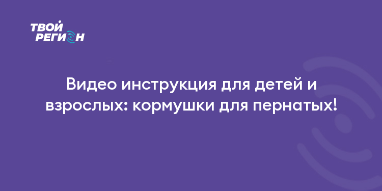 Видео инструкция для детей и взрослых: кормушки для пернатых!