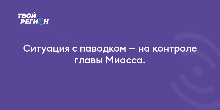 Ситуация с паводком — на контроле главы Миасса.