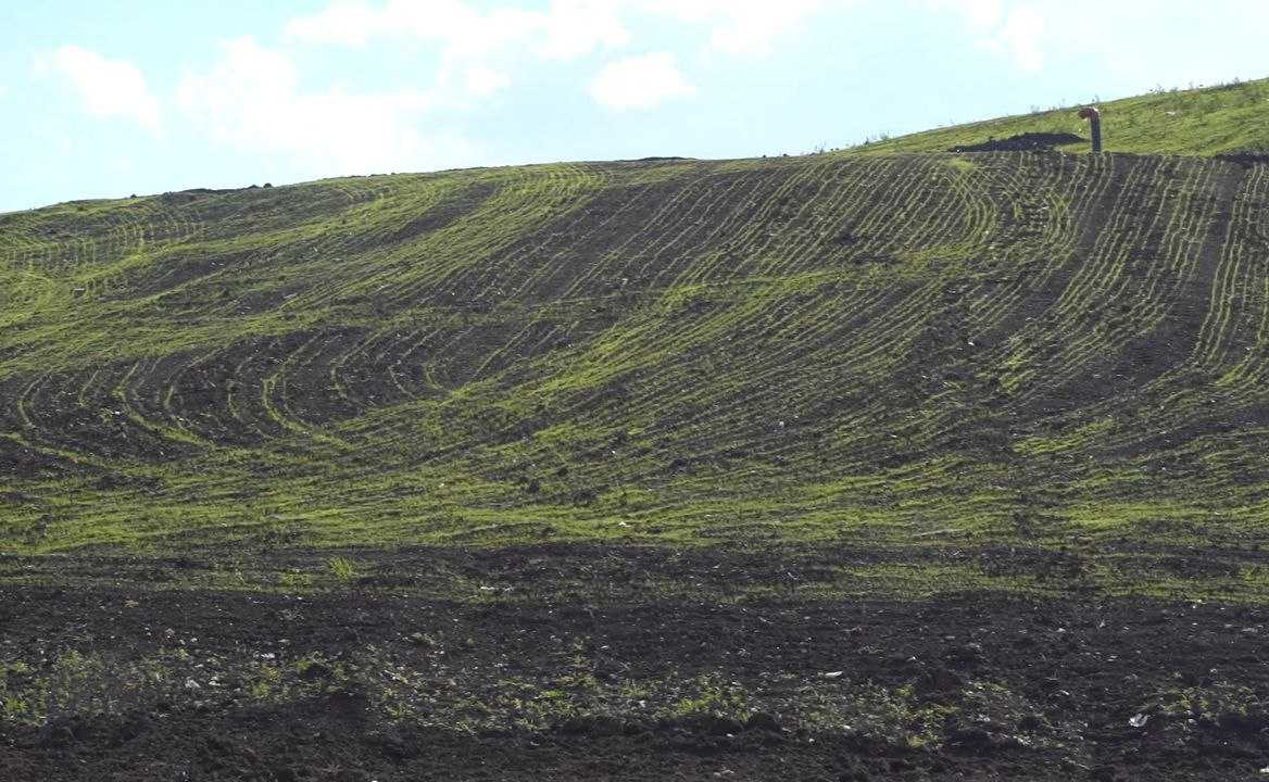 Успех экологической трансформации в Златоусте: от свалки к зеленому оазису