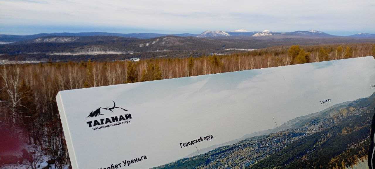 На страже новогоднего леса: как защищают ели в национальном парке “Таганай”