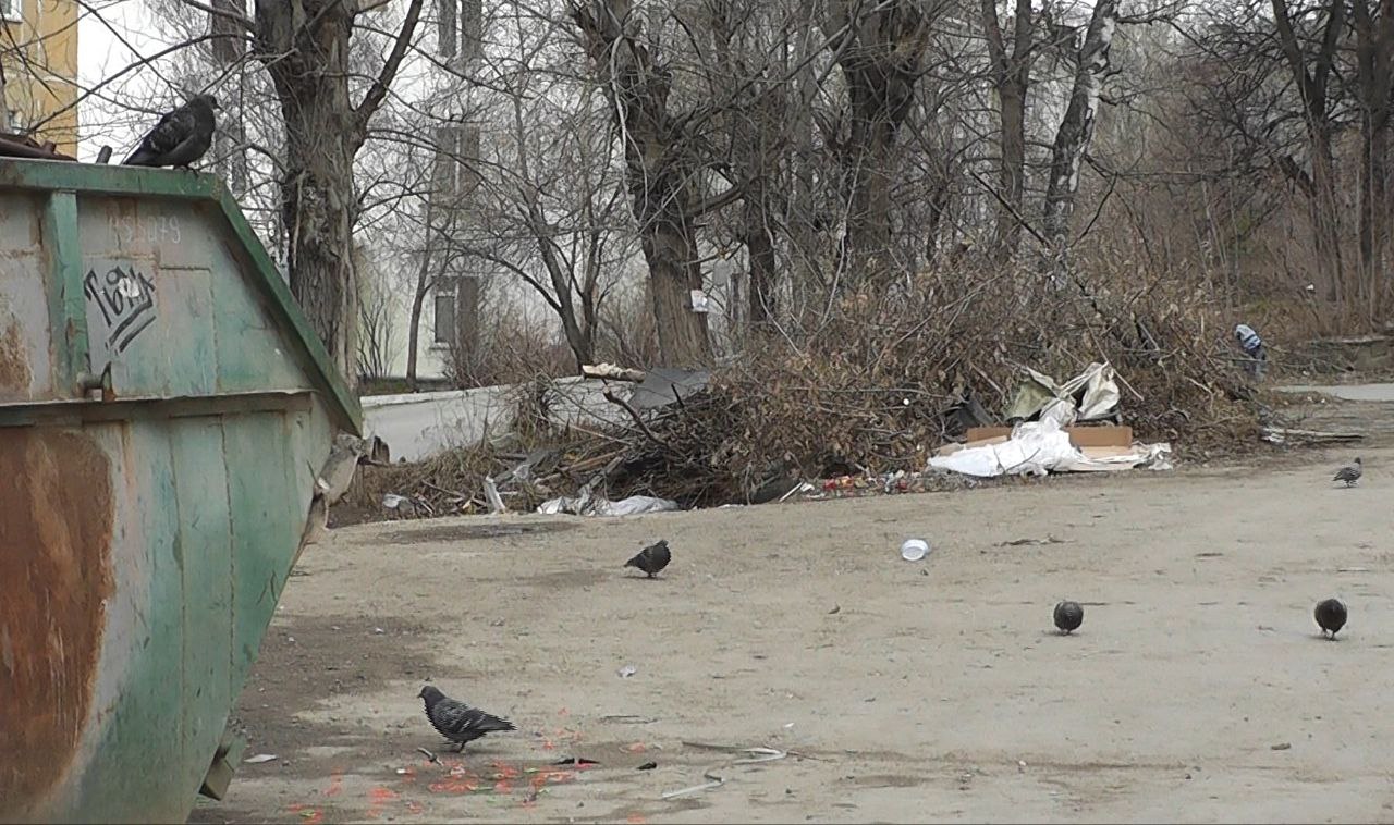 Стихийный мусорный кризис на улице Шишкина в Златоусте