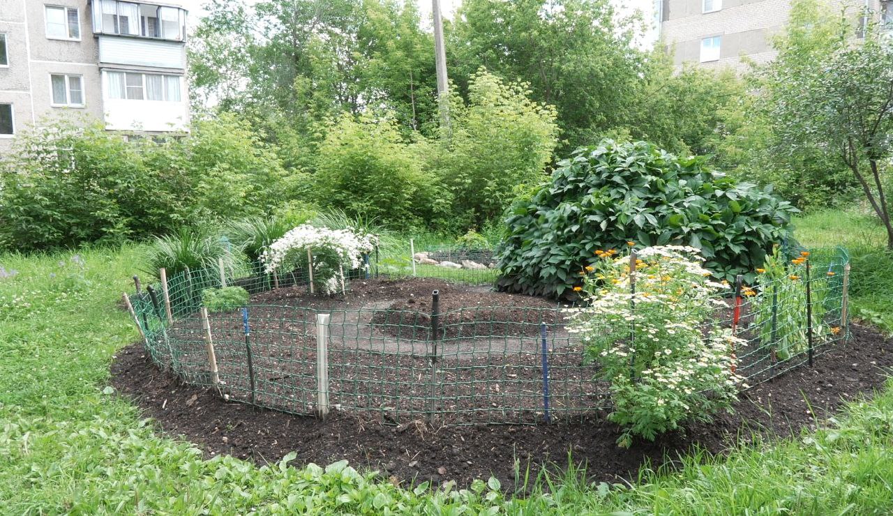 Цветник счастья: маленькая радость большого двора в Златоусте