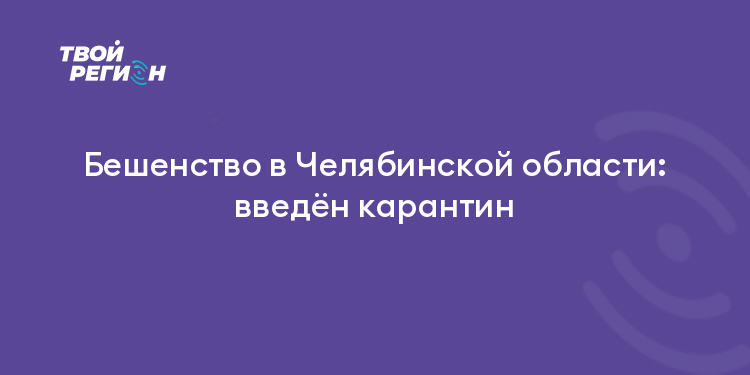 Бешенство в Челябинской области: введён карантин