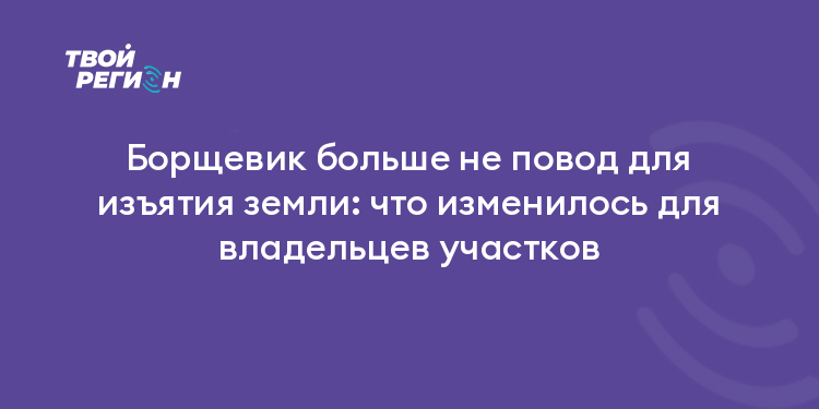 Борщевик больше не повод для изъятия земли: что изменилось для владельцев участков