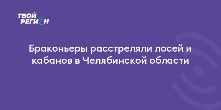 Браконьеры расстреляли лосей и кабанов в Челябинской области