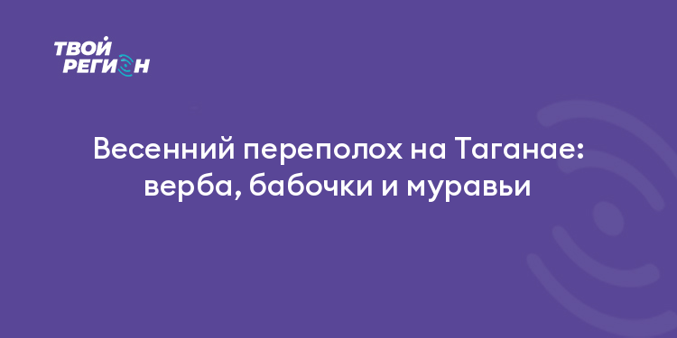 Весенний переполох на Таганае: верба, бабочки и муравьи
