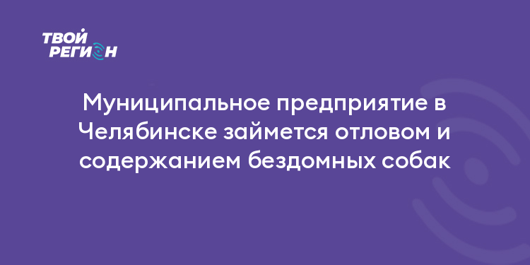 Муниципальное предприятие в Челябинске займется отловом и содержанием бездомных собак