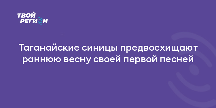 Таганайские синицы предвосхищают раннюю весну своей первой песней