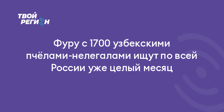 Фуру с 1700 узбекскими пчёлами-нелегалами ищут по всей России уже целый месяц